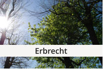 Erbrecht