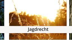 Jagdrecht